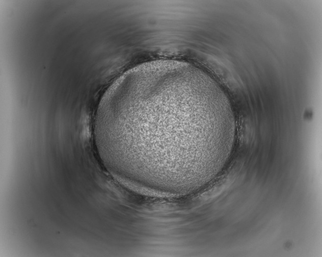 X0000102340962200808151724