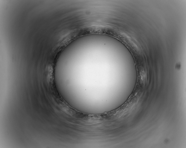 X0000102340964200808151724