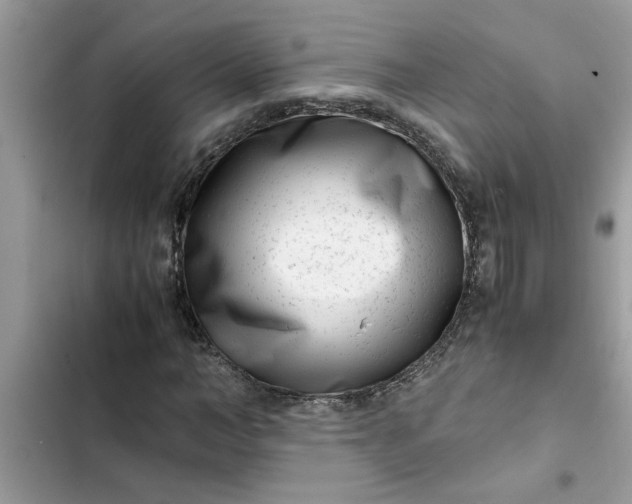 X0000102340966200808151724