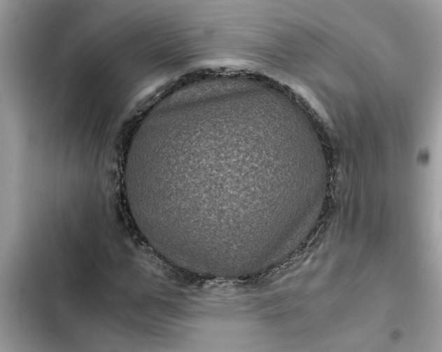 X0000102340967200808151724