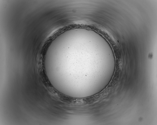 X0000102340968200808151724