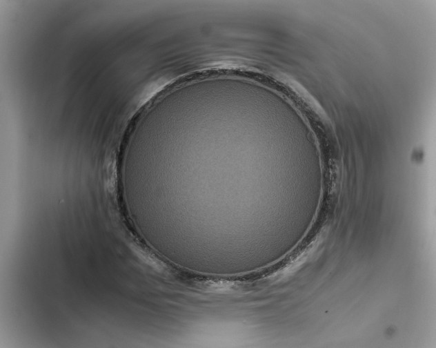 X0000102340969200808151724