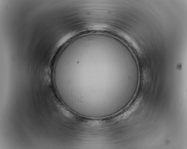 X0000102340970200808151724