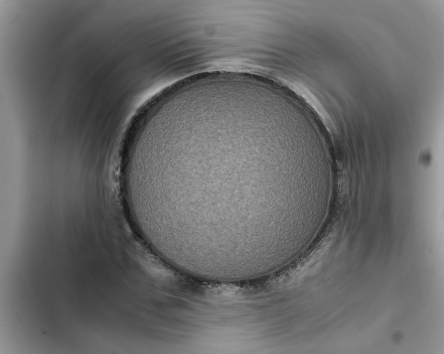 X0000102340971200808151724