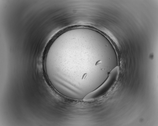 X0000102340972200808151724