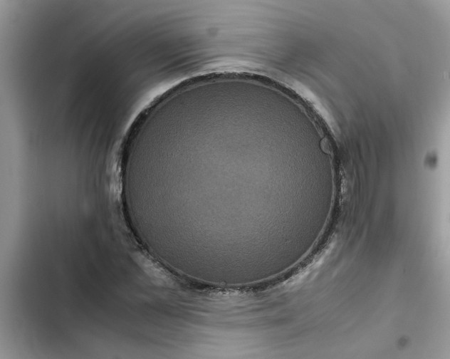 X0000102340973200808151724