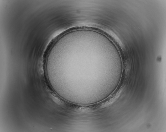 X0000102340974200808151724