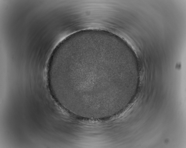 X0000102340975200808151724