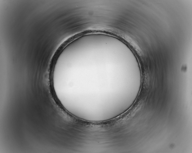 X0000102340976200808151724