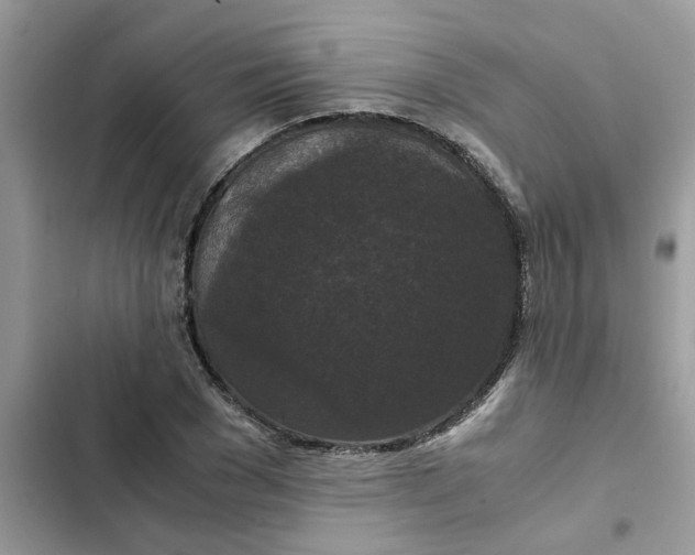 X0000102340977200808151724