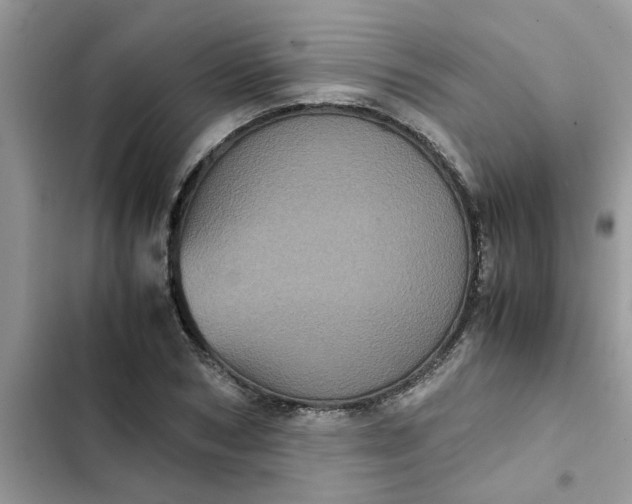 X0000102340978200808151724