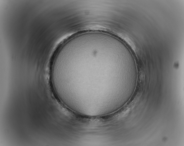 X0000102340979200808151724