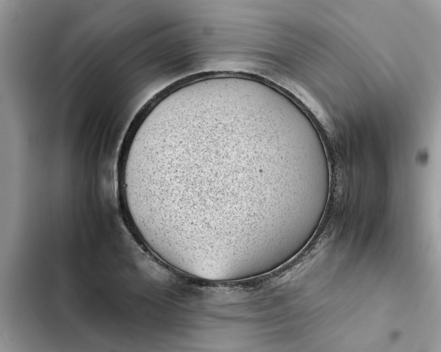 X0000102340980200808151724