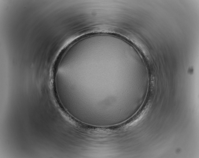 X0000102340981200808151724