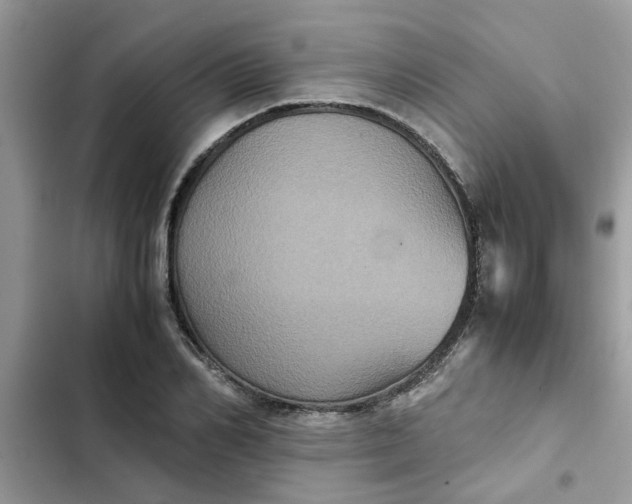 X0000102340982200808151724