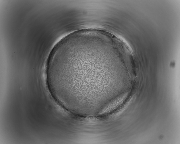 X0000102340983200808151724