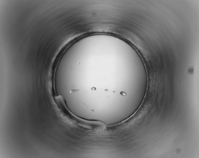 X0000102340984200808151724