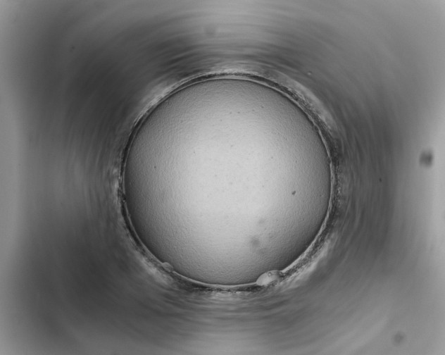 X0000102340985200808151724