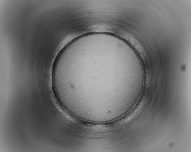 X0000102340986200808151724