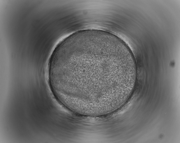 X0000102340987200808151724