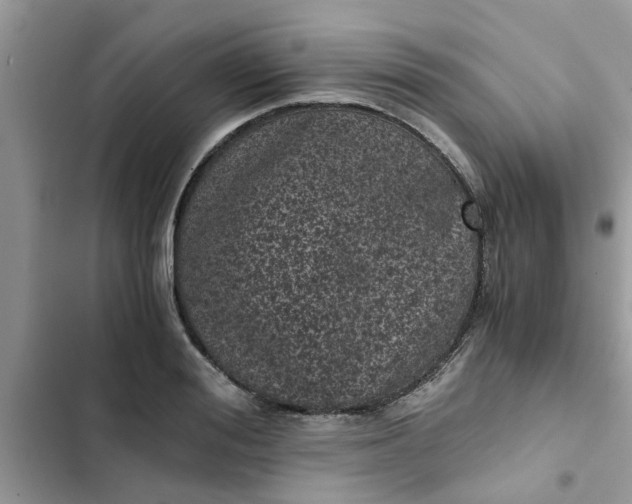 X0000102340988200808151724