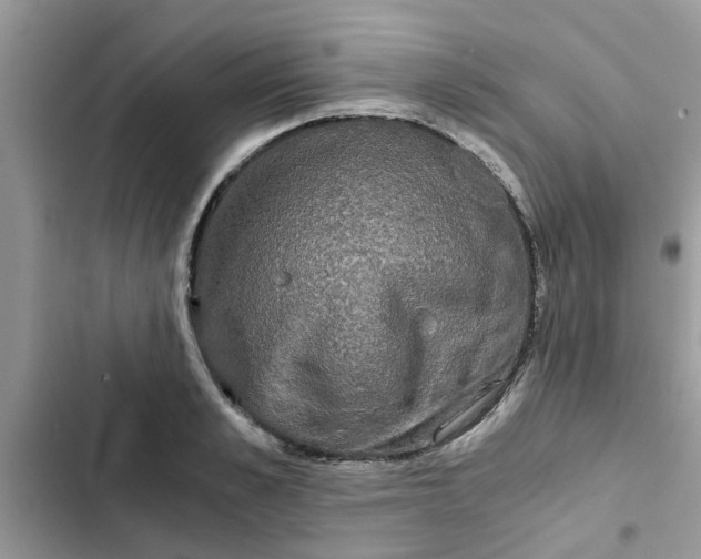 X0000102340989200808151724