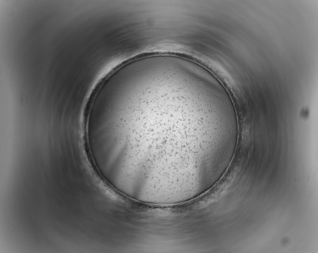 X0000102340990200808151724