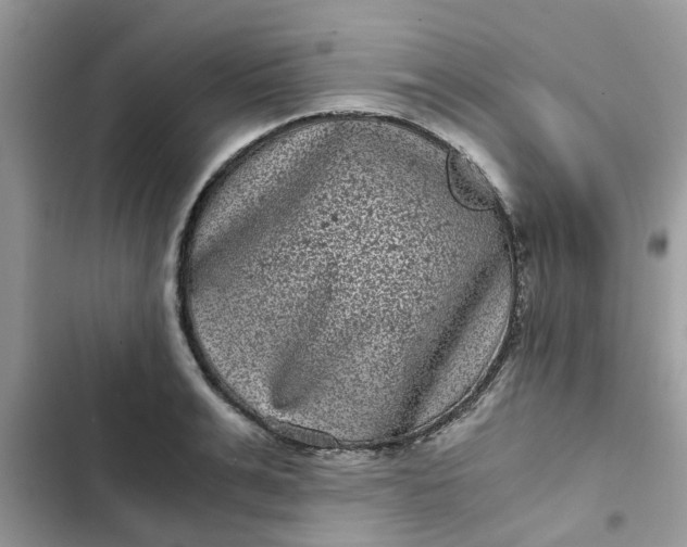 X0000102340991200808151724