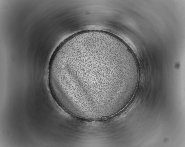 X0000102340992200808151724