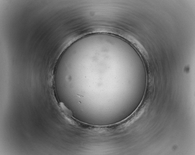 X0000102340993200808151724