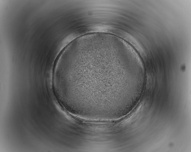 X0000102340994200808151724