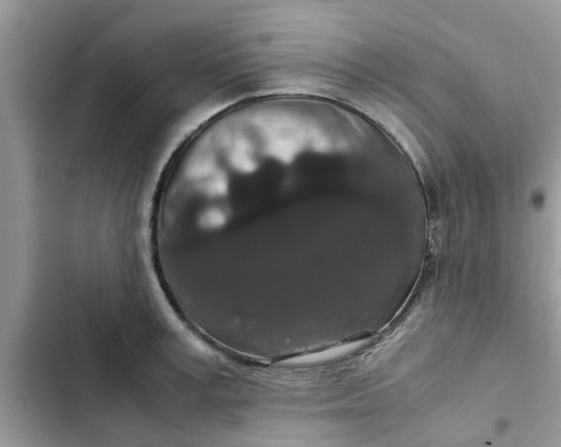 X0000102340995200808151724