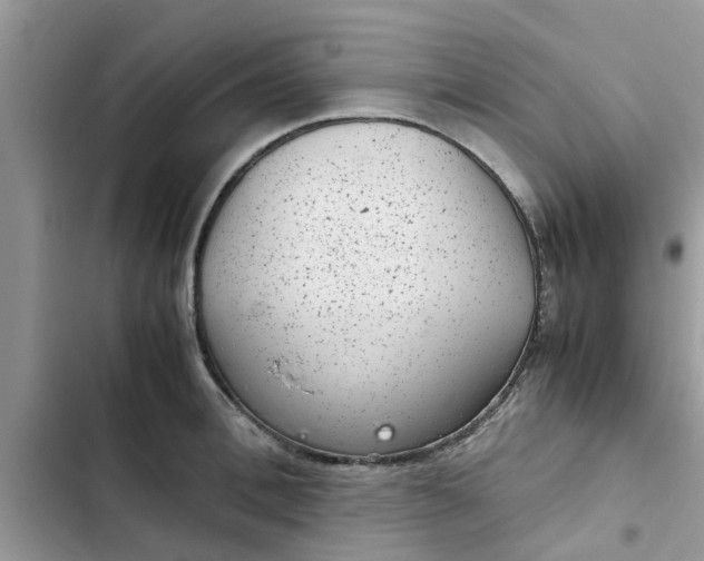 X0000102340996200808151724