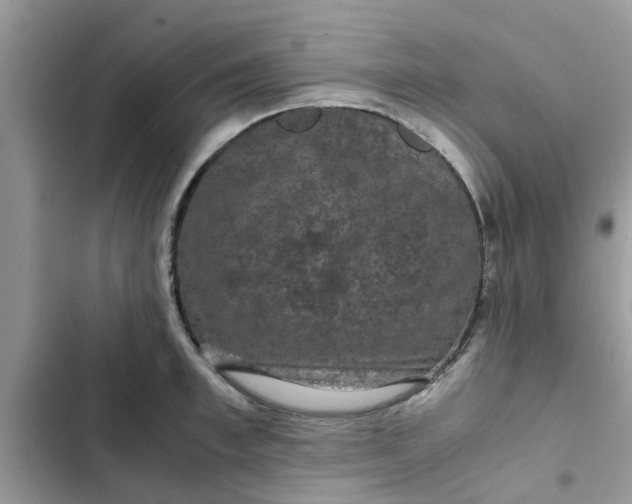 X0000102340997200808151724