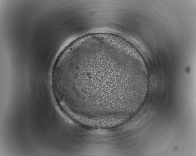 X0000102340998200808151724