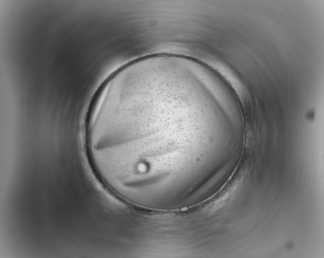 X0000102340999200808151724