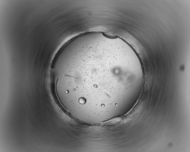 X0000102341000200808151724