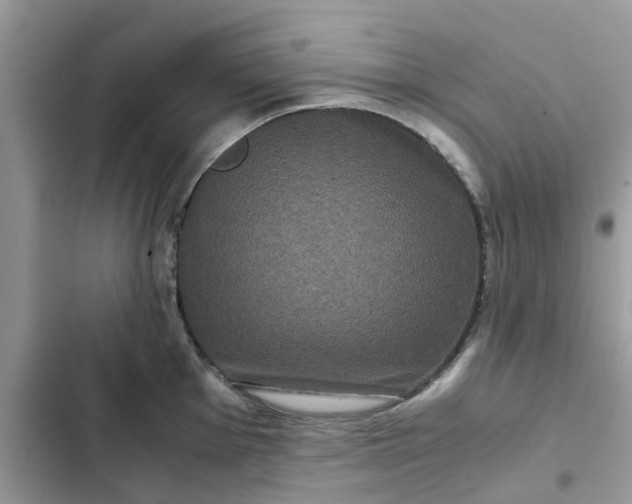 X0000102341001200808151724