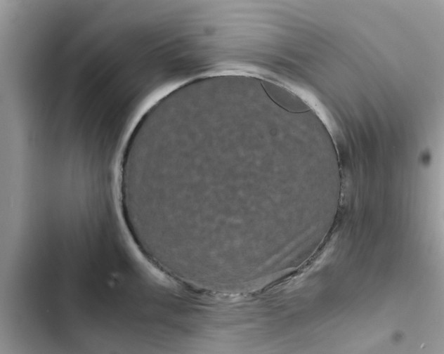 X0000102341003200808151724