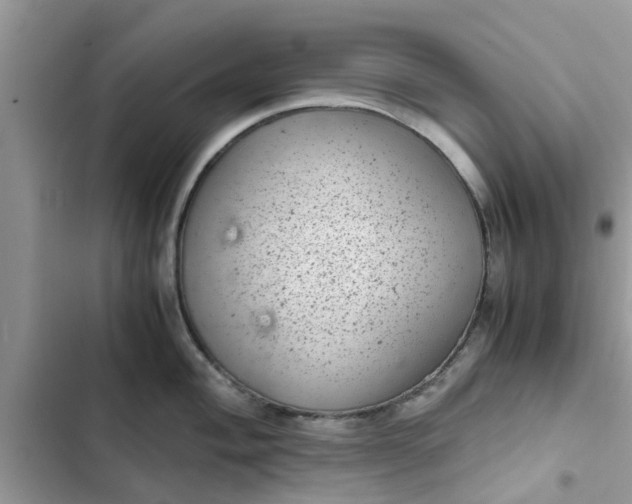 X0000102341004200808151723