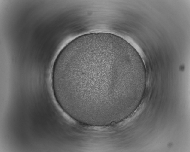 X0000102341005200808151723