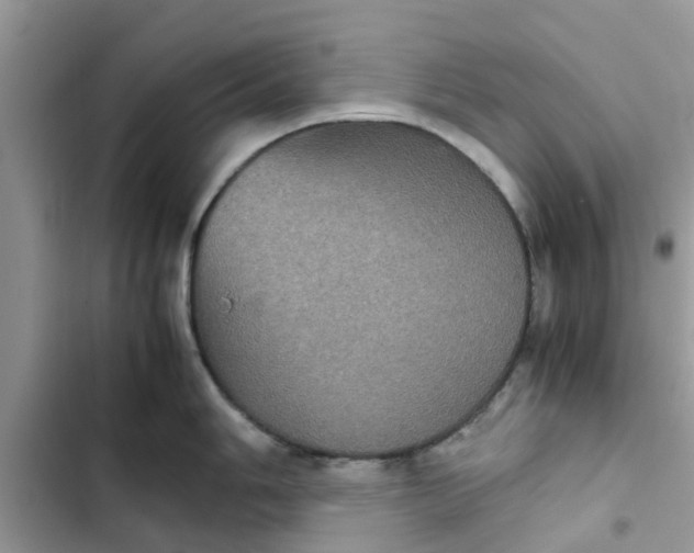 X0000102341006200808151723