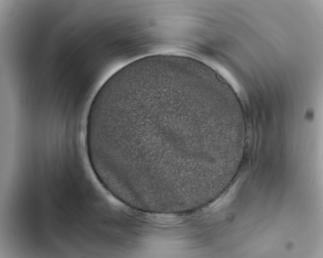 X0000102341007200808151723