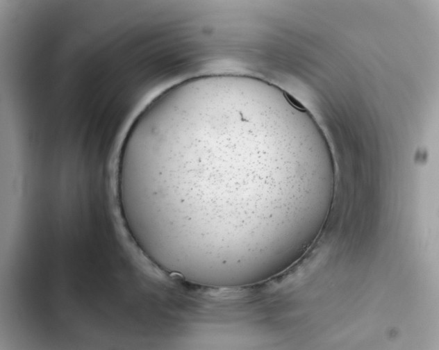 X0000102341008200808151723