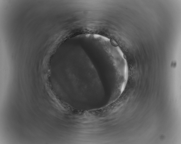 X0000102341009200808151723