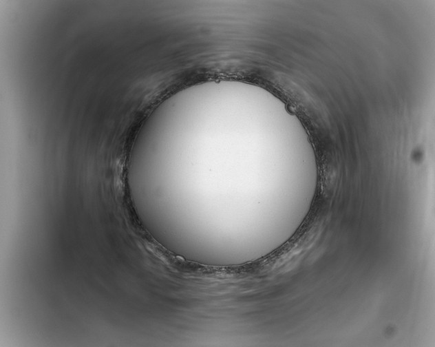 X0000102341010200808151723