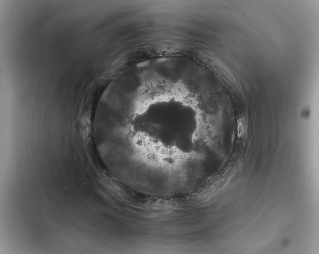 X0000102341011200808151723