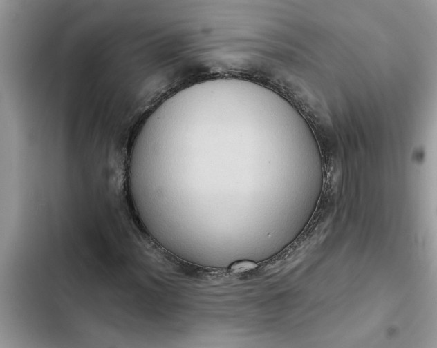 X0000102341012200808151723