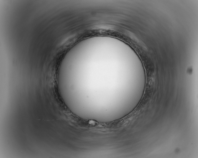 X0000102341014200808151723