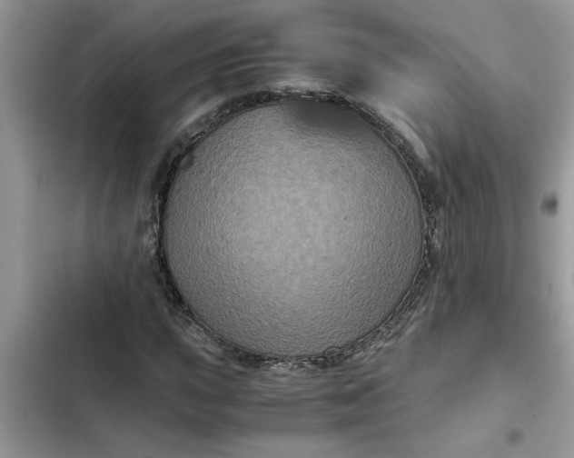 X0000102341015200808151723